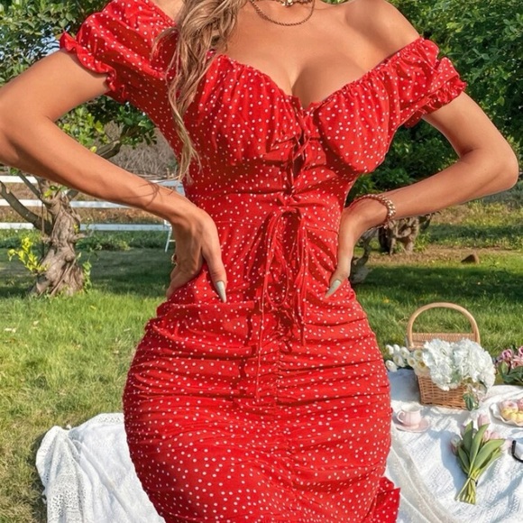 Polka Dot Ruffled Hem Dress - Picture 3 of 4